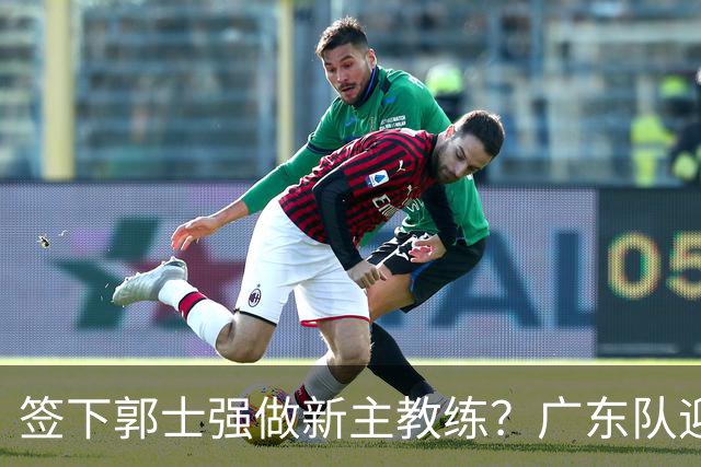 签下郭士强做新主教练？广东队迎来换帅机会，杜锋有望执教国家队